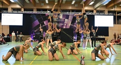 Merting Showgruppe 069